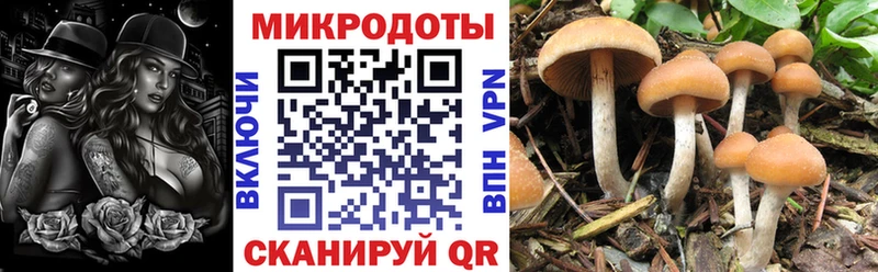 Галлюциногенные грибы прущие грибы  Лысково 